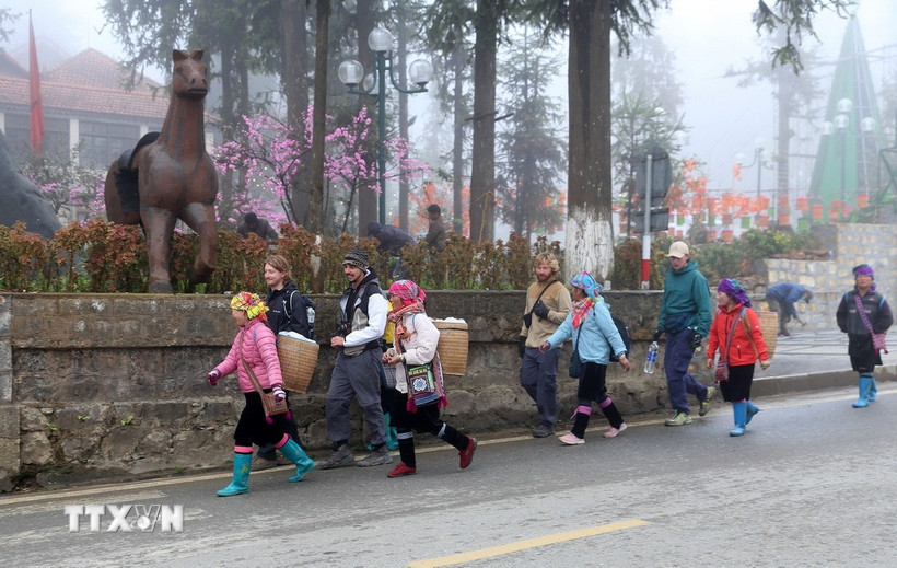 Việt Nam lọt top 5 điểm đến được du khách Pháp tìm kiếm